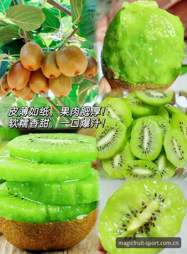 奇异果体育小米版 奇异果安装平台深度分析:奇异果体育小米版全面解析与使用心得