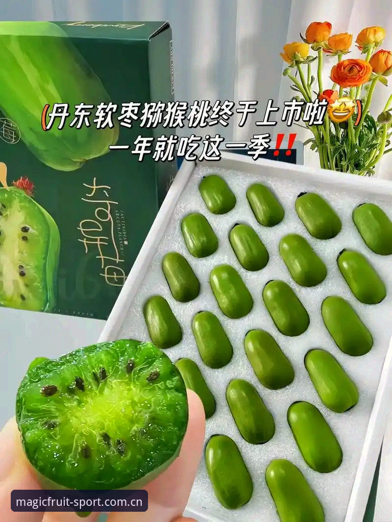 奇异果安装平台发布重大更新：奇异果体育使用教程必备最新指南，v2.1.0版带来全新移动体验