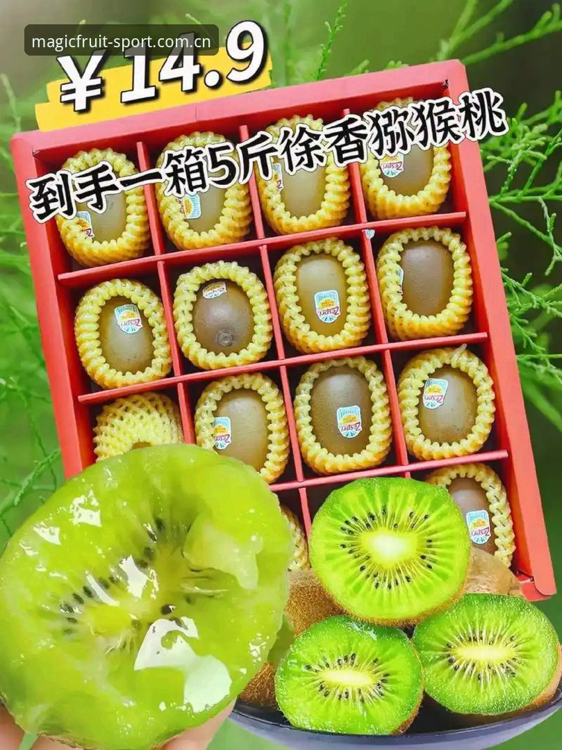 奇异果体育手机版哪个好 奇异果体育手机版哪个好?移动端多维度对比与深度评测解析